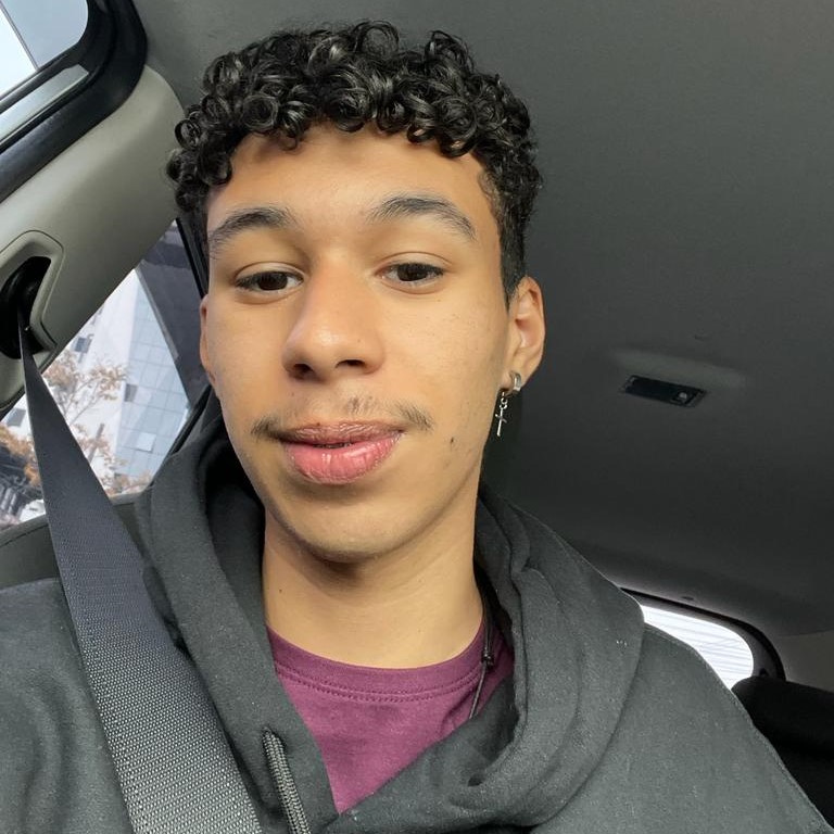 perfil